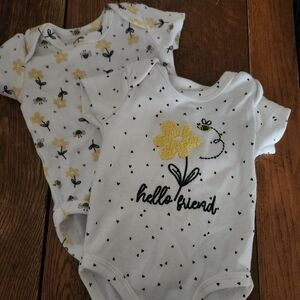 Baby Bodysuit Set with Floral and Bee Design